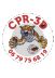 CPR-3D